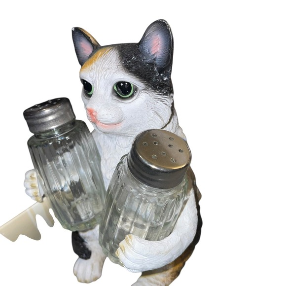 Cat Salt and Pepper Glass Shaker Holder Set Decor Kitchen New! - Picture 2 of 8